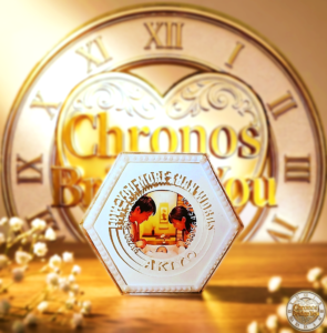 クロノスブリッジユー、イメージ